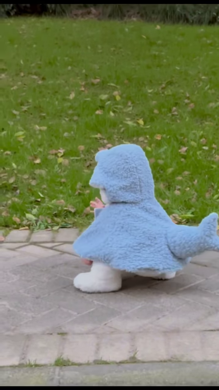 Fluffy Animal-Themed Kids' Costumes π°π¦π¦ β Bunny, Shark & Dino Variants - Image 3